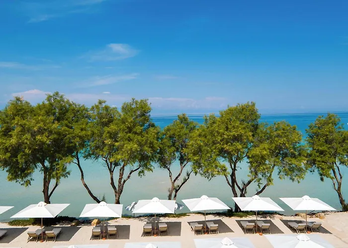 Sani Club